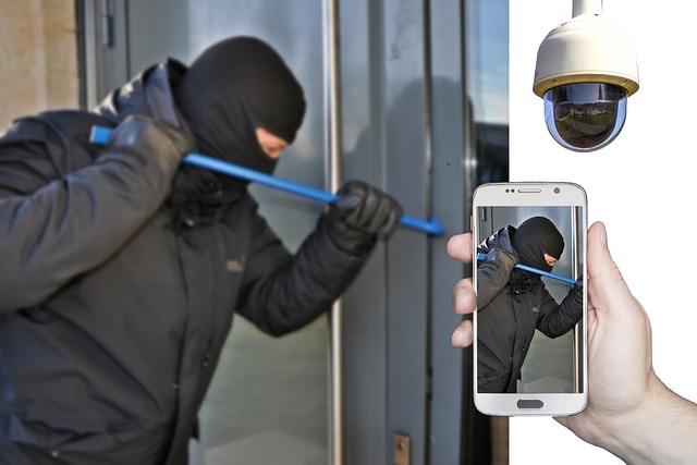 burglar-gaf2a9763e_640